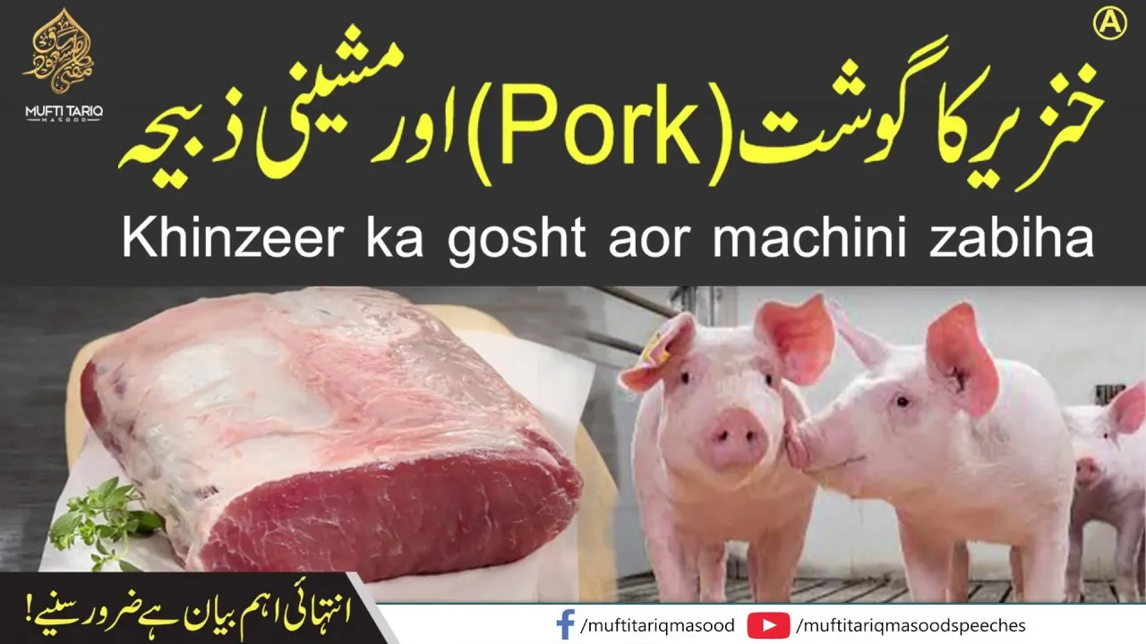 Pork meat and machine slaughter | Mufti Tariq Masood Speeches